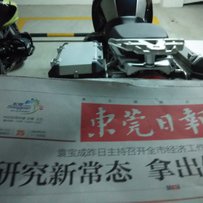 东莞塘厦出两只马