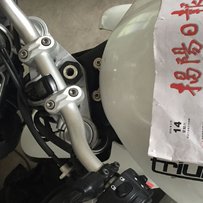 出精神青蛙王子675R版