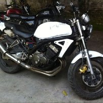 中山出售个川崎250尸体