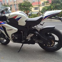 白云出08鹦鹉…