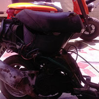 已售完 版主删下贴