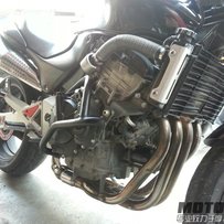 新塘代友出售黄蜂600