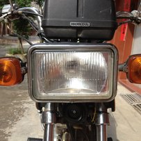 恩平市区出售本田花猫