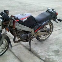 江苏常州再出台精神t仔