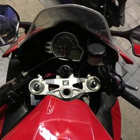 秒杀价31000出08鹦鹉。。。。