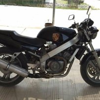 国庆特价出暴力大蚂蚁400