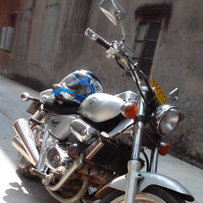 广州白云再次降价出精神马格纳