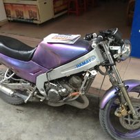 花都靓仔Tzr125。