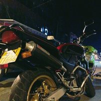 广东陆丰出极品07黄蜂