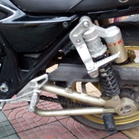 广西容县出04猪头一只。