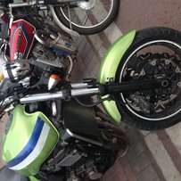 出售大猪头也可以换车