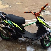 东莞代友出售暴力绵羊仔