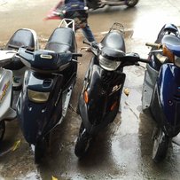 番禺出售几台精神的2冲绵羊仔