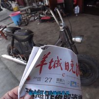 广东台山公益650出售金城70广东包游