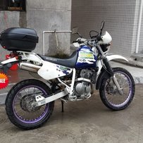 台山 出台 精神 大眼250