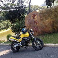 广州市出两台精神街跑