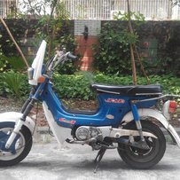 肇庆市区出售金城70摩托车1000元