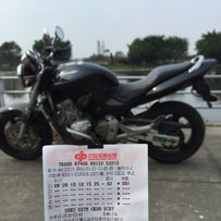 江门台山 精神本田黄蜂600