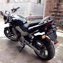 代友发贴，番禺出黄蜂600