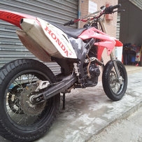 已售出 谢谢绿茵直播