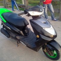 开平售靓仔迅鹰