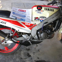 台山代友出一台TZR125