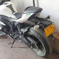 出川崎6R  马帮刚走 欢迎来喝茶