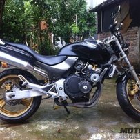 [已出售感谢绿茵直播]小黄蜂250