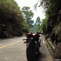 出08美版鹦鹉CBR1000