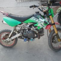 增城新塘 1500代友出售精神小爬鸡