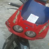 广州番禺出台CBR19尸体