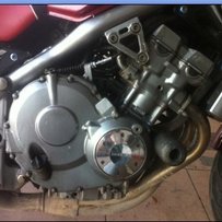 暂停出售 明天上转视频 请板主原谅