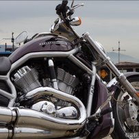 威路德已售，出川崎火神900