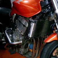 东莞市道滘镇出售黄蜂919