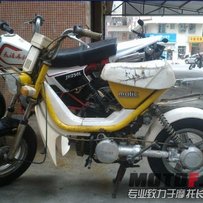 malic(LC50) YAMAHA