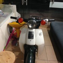 惠州3800出售经典超极品级幼兽50cc（重发）