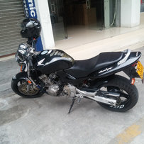 清远出售黄蜂600