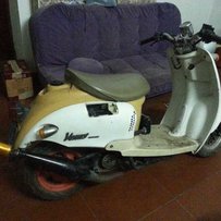 广州白云钟落潭出水冷龟仔