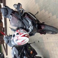 广东梅州出售K9大R  听说标题要长………………