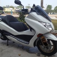 售自用2010年本田佛鲨FORZA250ABS+音乐版（顶配）