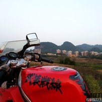 暂停出售！没时间理着！