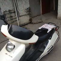 代车友出台极品原装大白沙