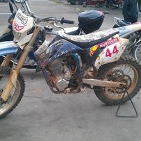 贵港5500元出售风冷正林250