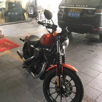 13年  哈雷 硬汉 883N