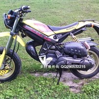 4800出售成色不错的铃木猴子