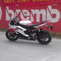 福建石狮市出10年R6