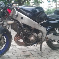 已经卖出!!谢谢绿茵直播!谢谢CCTV!!谢谢CCAV