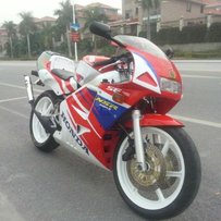 肇庆出售精神3改4仔