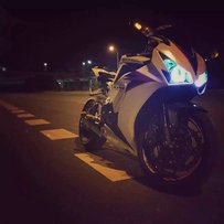 《广州番禺出售12款鹦鹉》