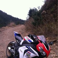 代 友 出 台 08 鹦鹉 CBR1000